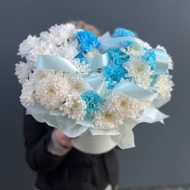 Хризнтемы в боксе в Йошкар-Оле