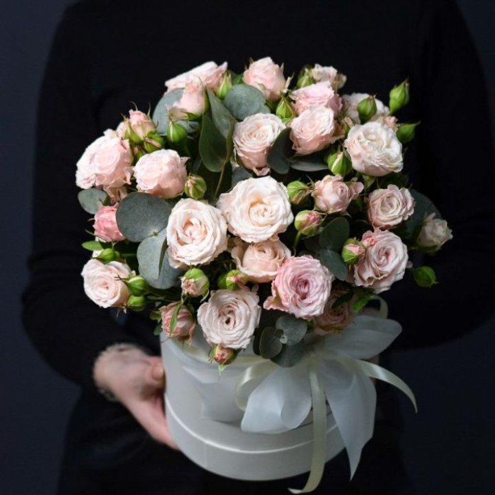 Бомбастик бокс №2 в Йошкар-Оле