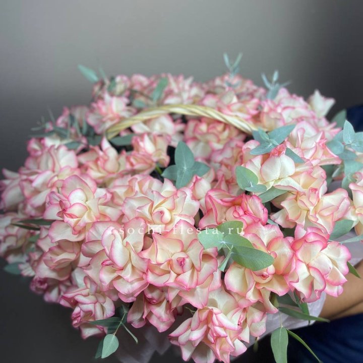 51 джумилия  в корзине   в Йошкар-Оле