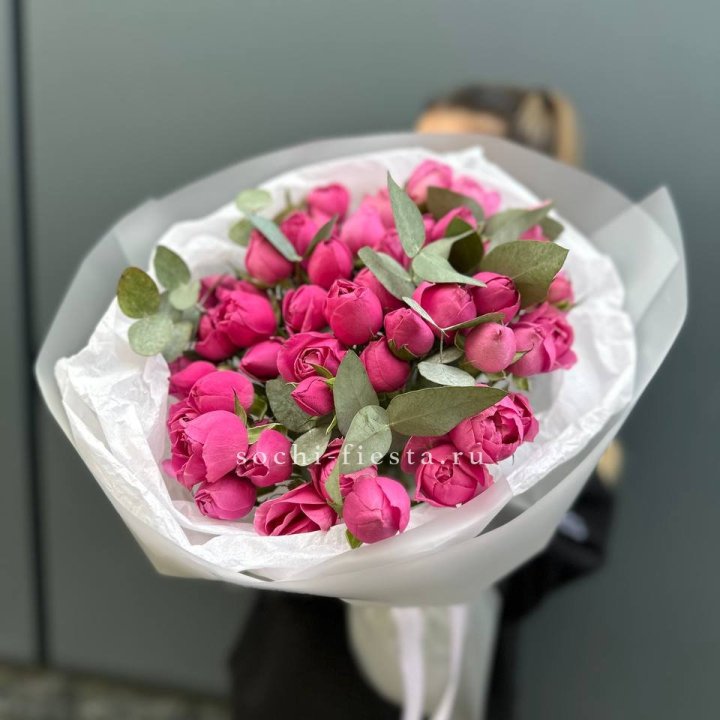 17 Мисти бабблс в Йошкар-Оле