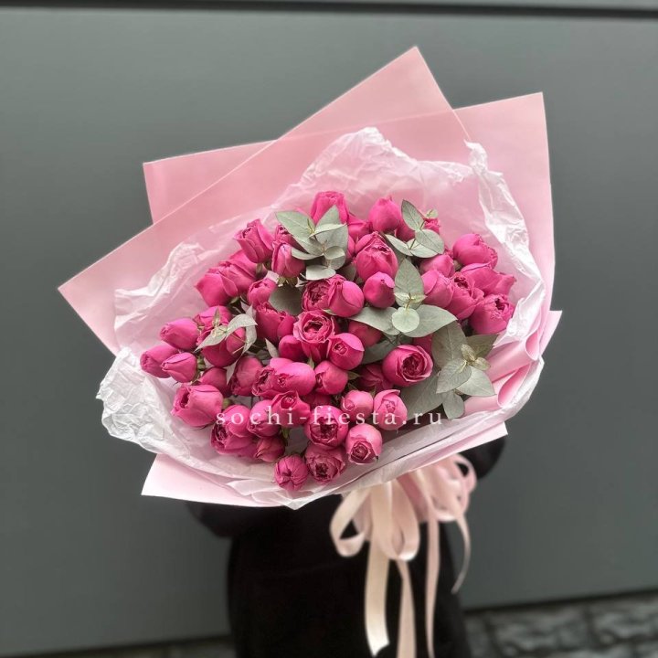 25 Мисти бабблс в Йошкар-Оле