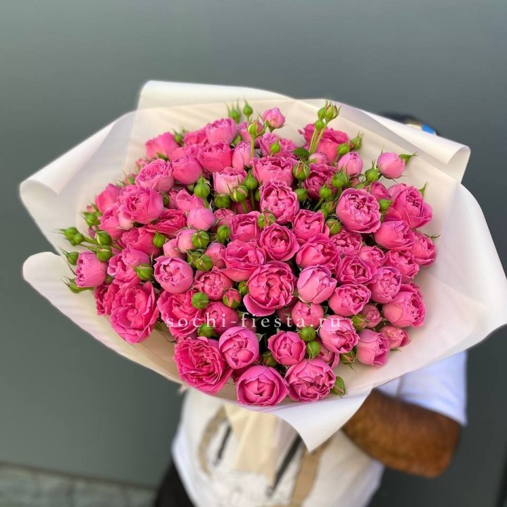 Мисти Баблс 35шт в Йошкар-Оле