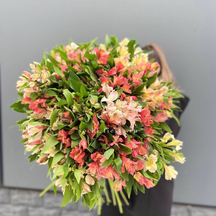 51 альстромерия в Йошкар-Оле