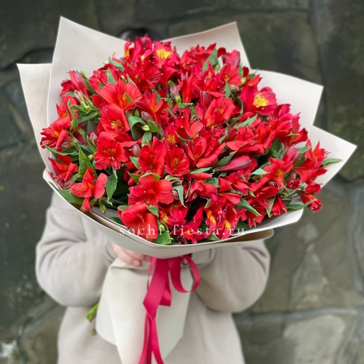 51 альстромерия в Йошкар-Оле