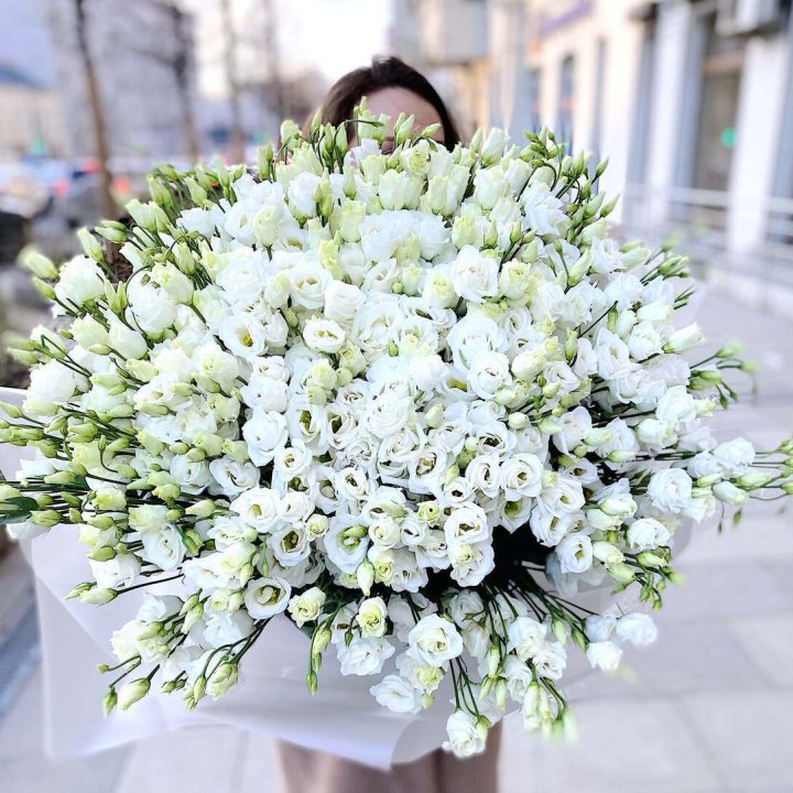 101 белая эустома в Йошкар-Оле