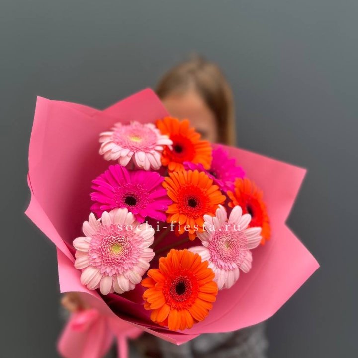 Краски в Йошкар-Оле