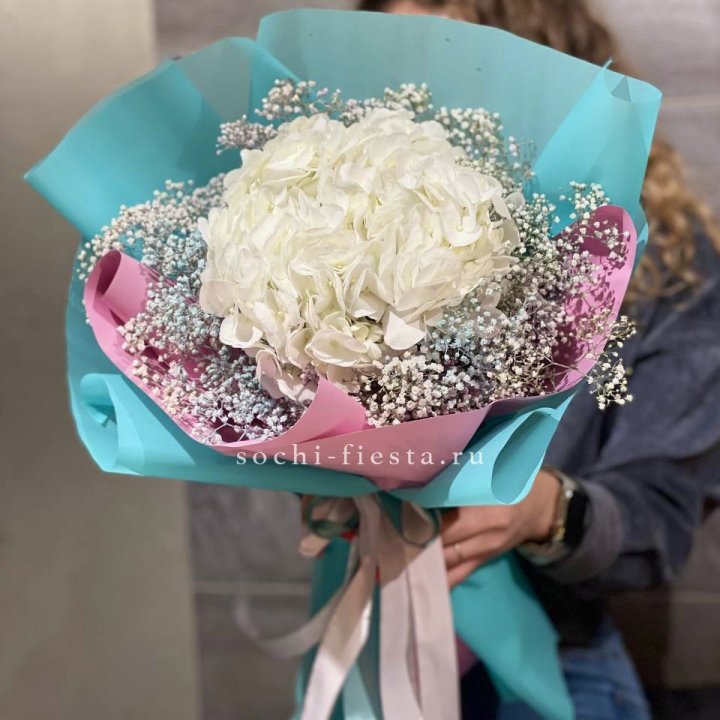 Гортензия "Райдов" в Йошкар-Оле