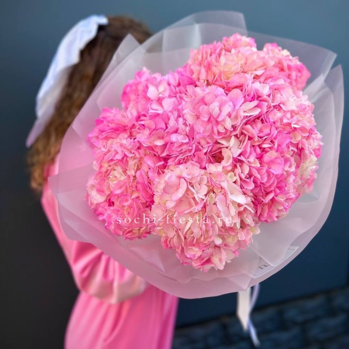 7 ярко розовых гортензий в Йошкар-Оле