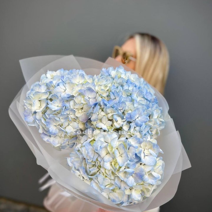 Букет из 3 голубых гортензий  в Йошкар-Оле