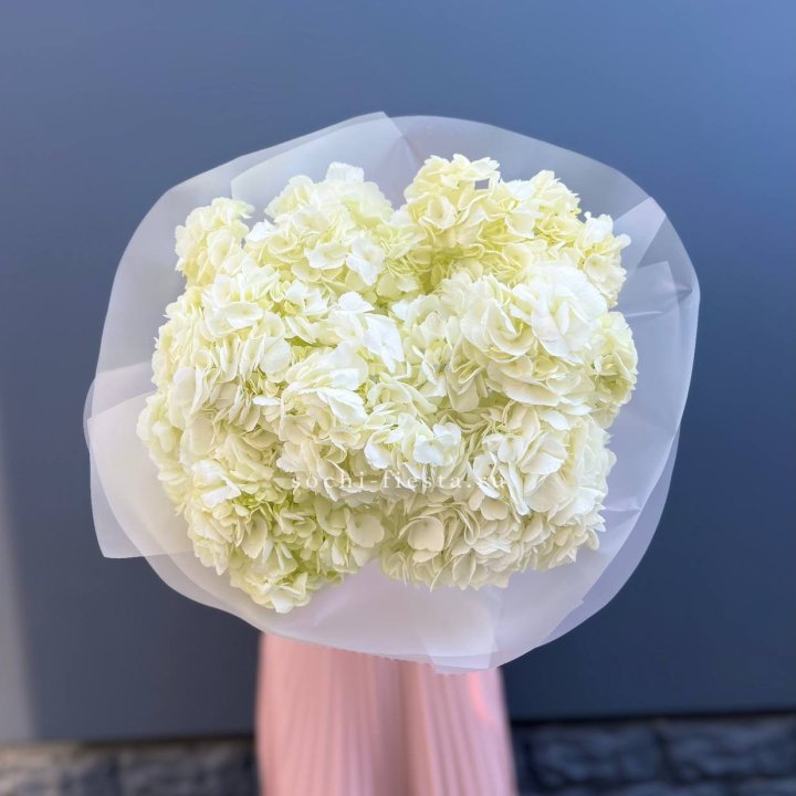 7 белых гортензий в Йошкар-Оле