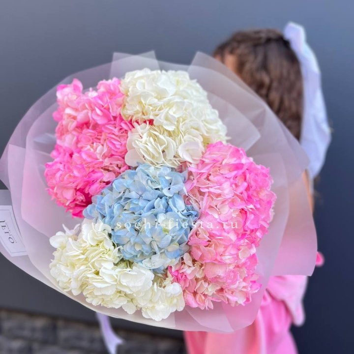 7 гортензий микс в Йошкар-Оле