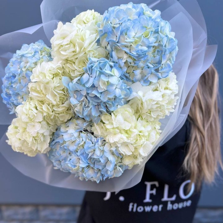 9 бело-голубых гортензий в Йошкар-Оле