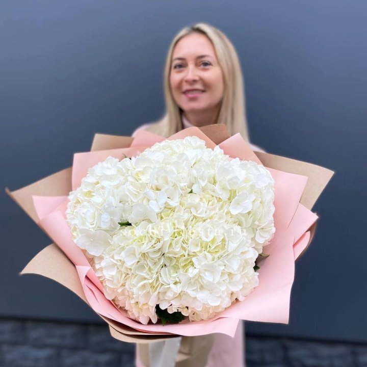 Гортензия белая в Йошкар-Оле