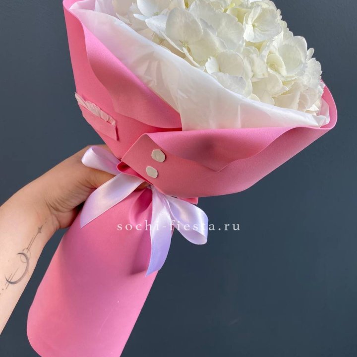 Гортензия в розовом пиджаке в Йошкар-Оле