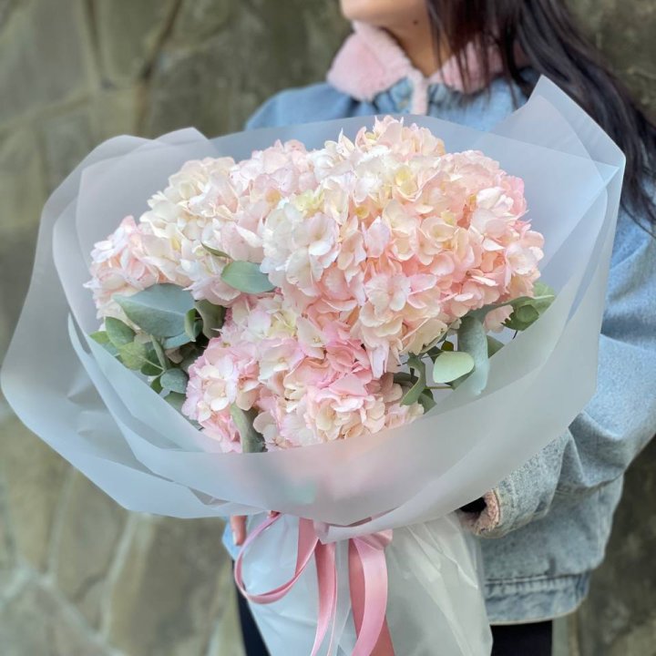 5 розовых гортензий в Йошкар-Оле