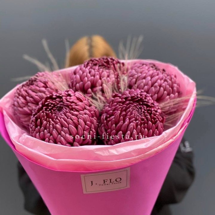 Хризантемы  Бигуди с стифой в Йошкар-Оле