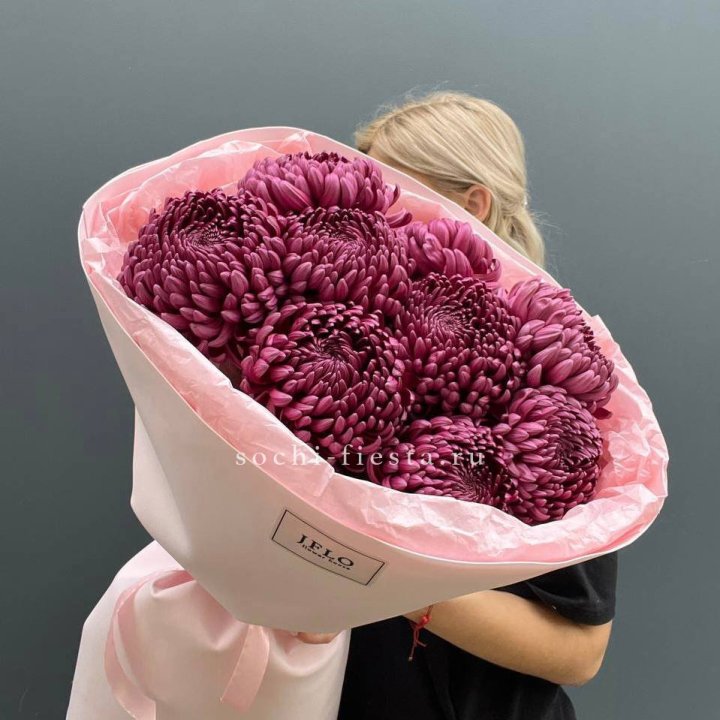 9 хризантем бигуди в Йошкар-Оле