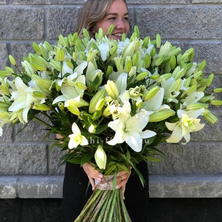 51 лилия в Йошкар-Оле