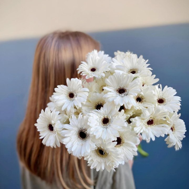 Охапка гербер в Йошкар-Оле