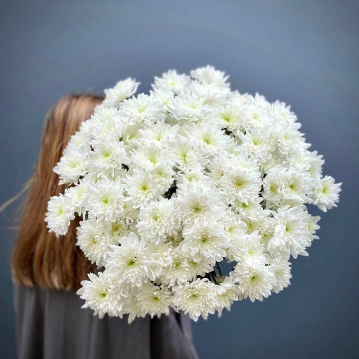 Охапка Хризантемы кустовой в Йошкар-Оле