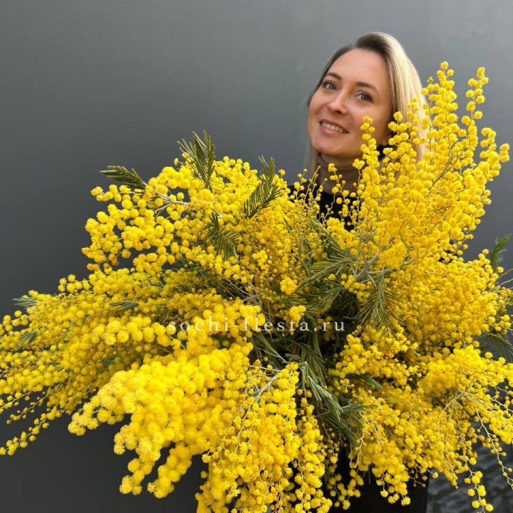 Охапка мимозы №2 в Йошкар-Оле