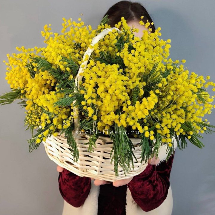 Корзина ароматной мимозы в Йошкар-Оле
