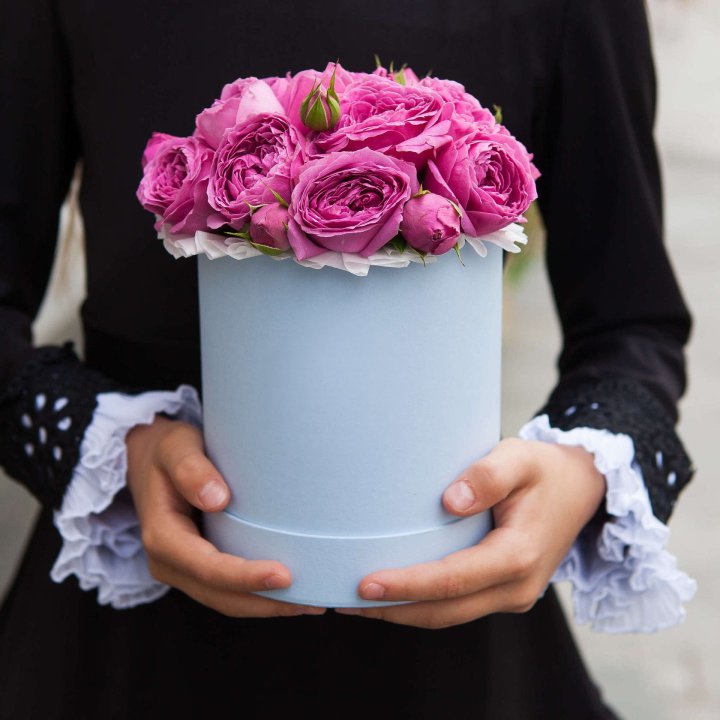 Бокс мини мисти в Йошкар-Оле