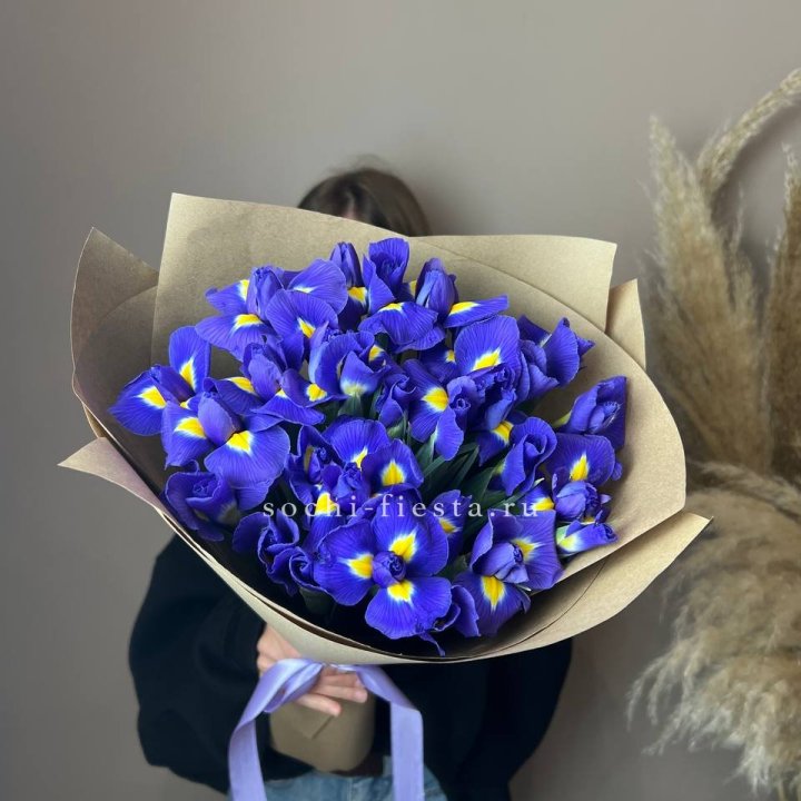 Ирисы в Йошкар-Оле