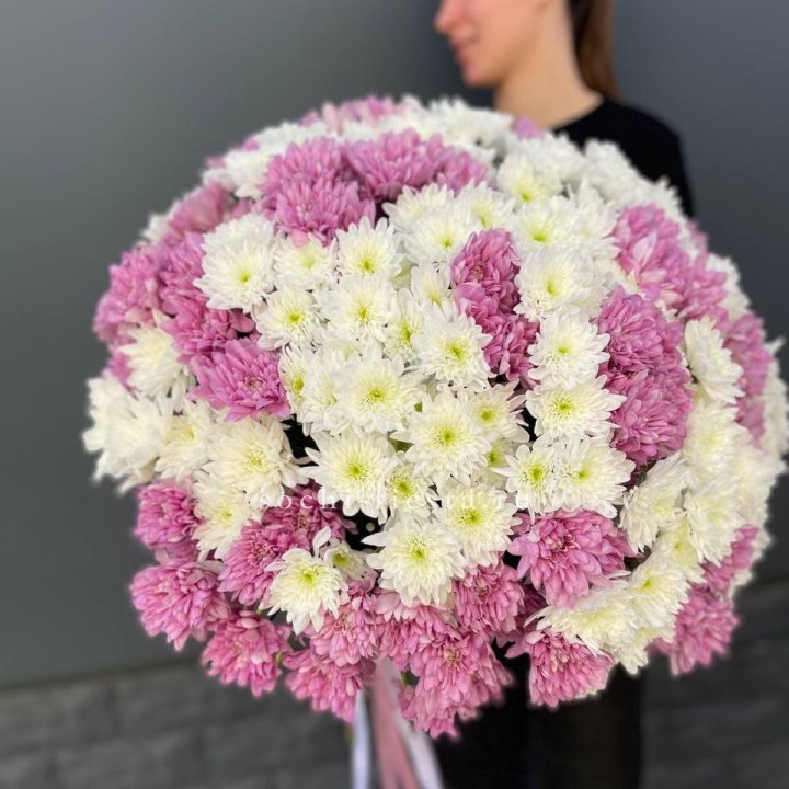  Букет 25 хризантем микс в Йошкар-Оле