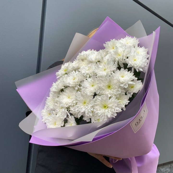  7 хризантем  в Йошкар-Оле