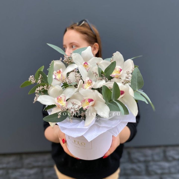 7 орхидей в боксе в Йошкар-Оле