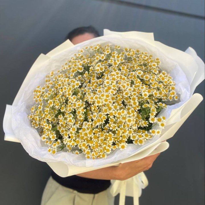 Букет ромашек №2 в Йошкар-Оле