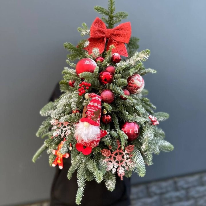 Новогодняя елочка "Ред" в Йошкар-Оле