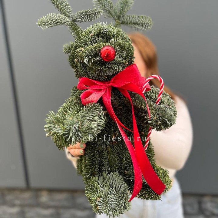 "Олень" из нобилиса в Йошкар-Оле