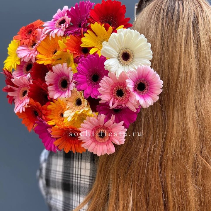 Охапка гербер  в Йошкар-Оле