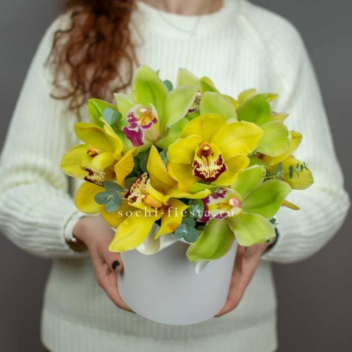 Бокс с орхидей №1 в Йошкар-Оле