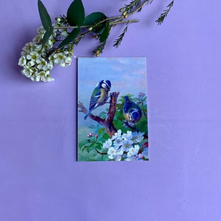 Открытка к букету "Птицы" в Йошкар-Оле