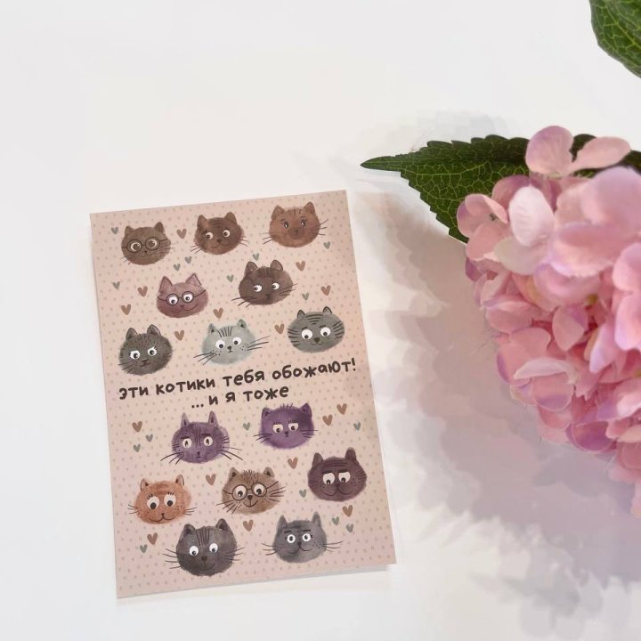Открытка к букету "Котики" в Йошкар-Оле