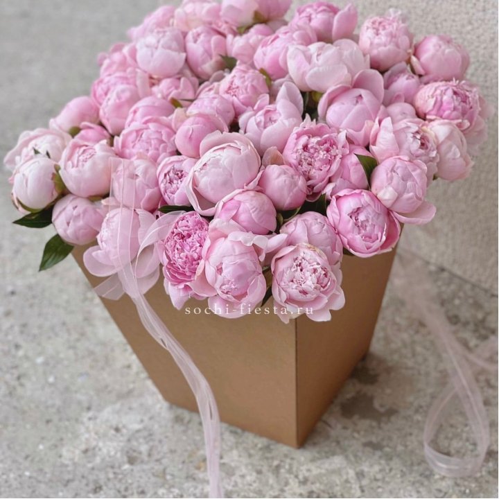 49 пионов в крафт коробке в Йошкар-Оле