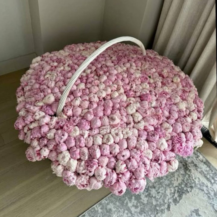 Корзина 555 пионов в Йошкар-Оле