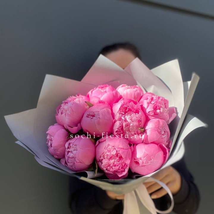 Пионы Алекс флеминг в Йошкар-Оле