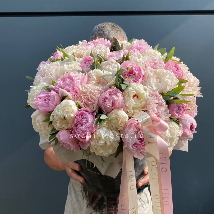 51 пионов в боксе в Йошкар-Оле