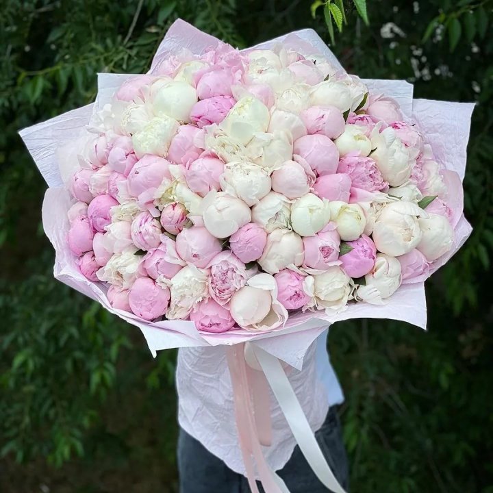 101 пион в Йошкар-Оле