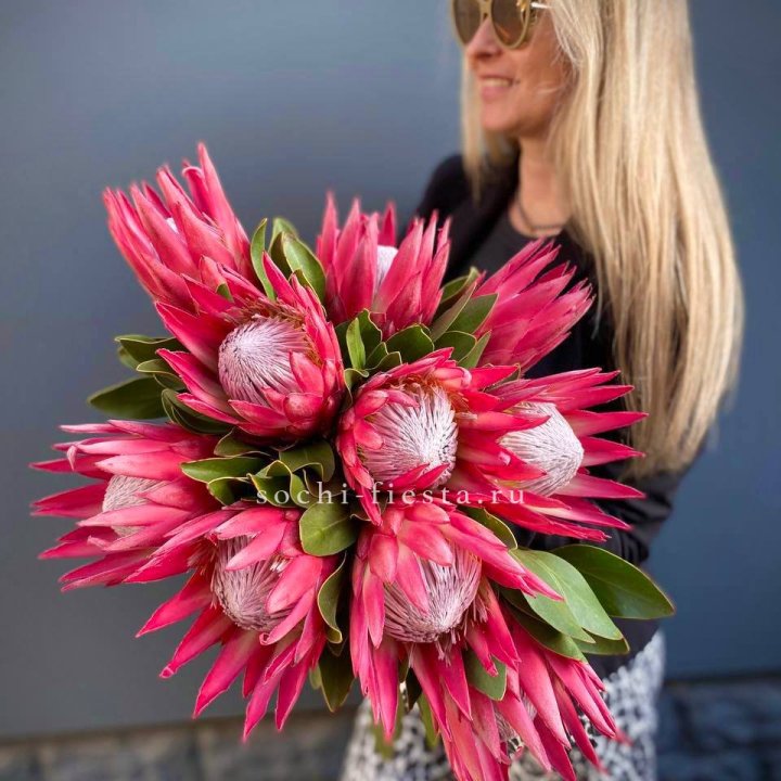 Протея штучно в Йошкар-Оле