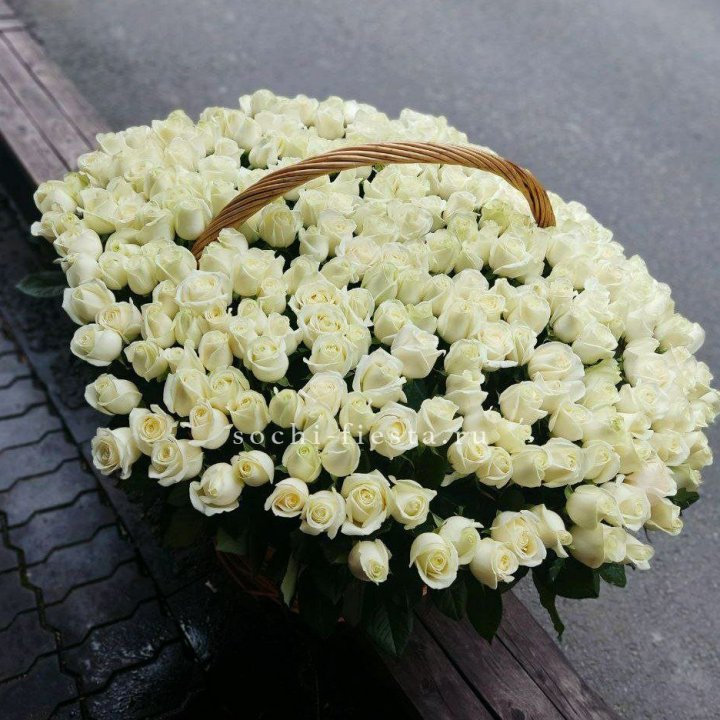 303 розы в корзине в Йошкар-Оле