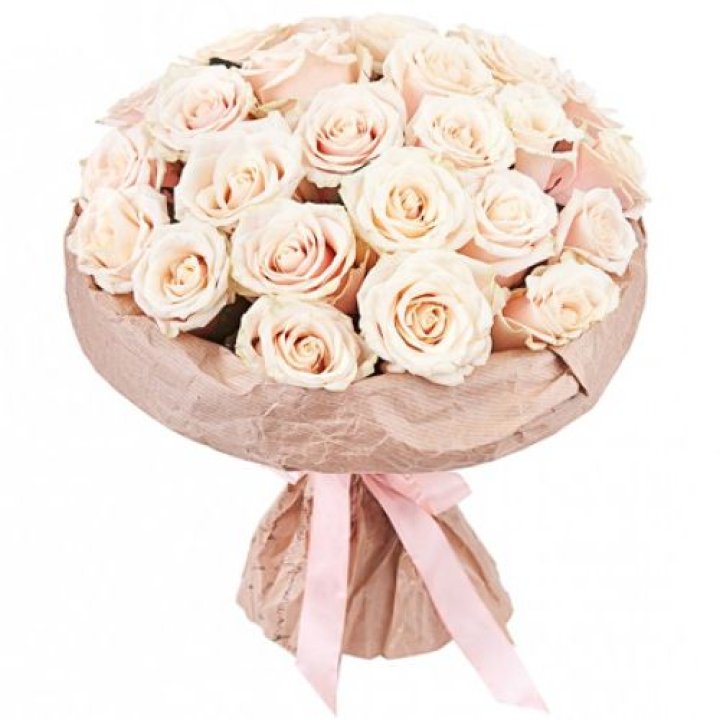 25 кремовых роз "Craft" в Йошкар-Оле