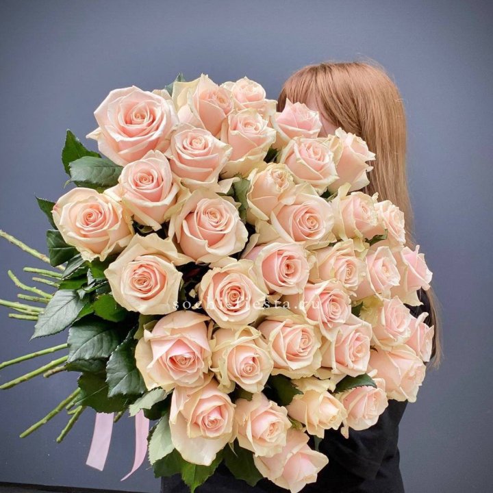 35 кремовых высоких роз в Йошкар-Оле