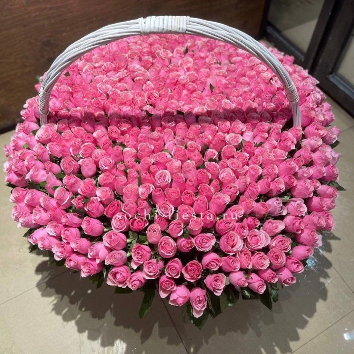 501 розовая роза в Йошкар-Оле