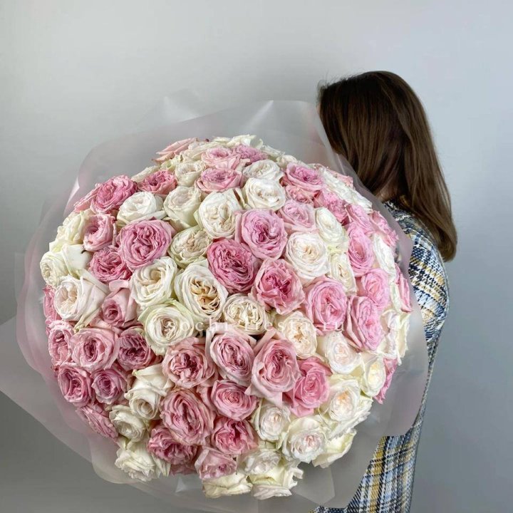 101 роз Охара в Йошкар-Оле