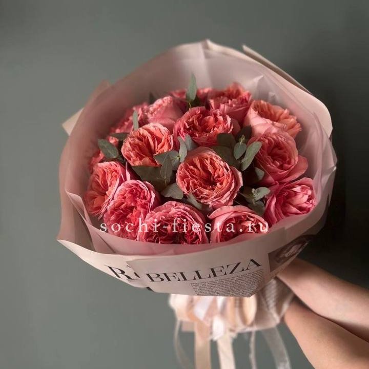 15 Пинк экспрешен в Йошкар-Оле